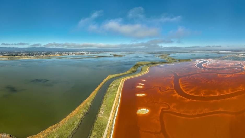 San Francisco Bay Area salt ponds