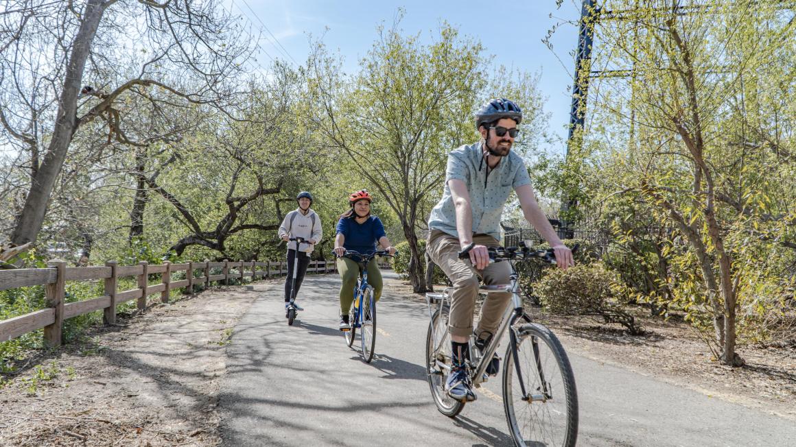 bicyclists on trail