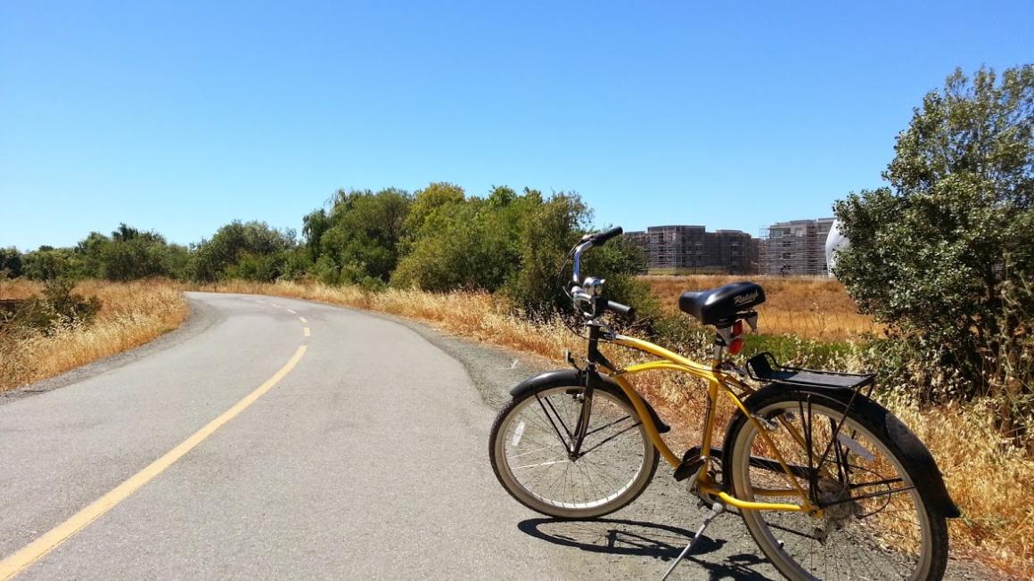 A bike posed alongside a trail