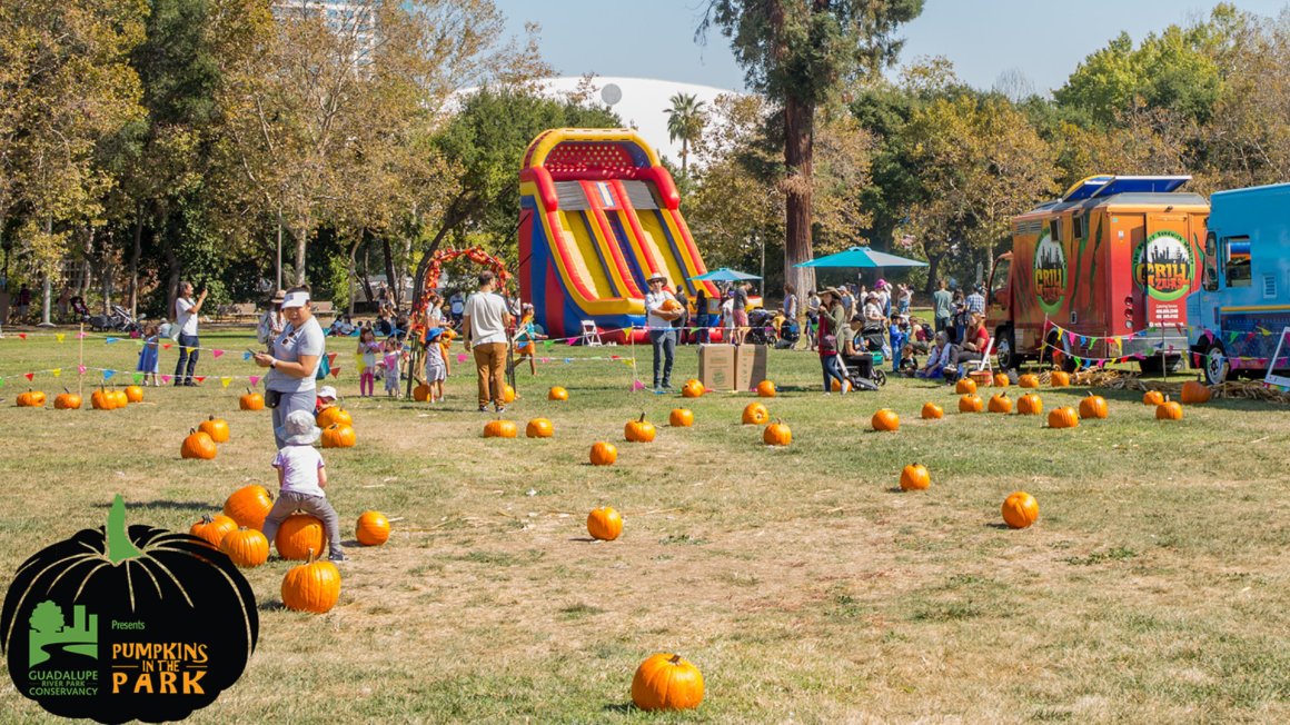 Pumpkin Patch