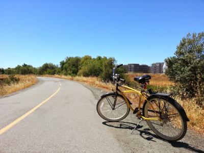 A bike posed alongside a trail