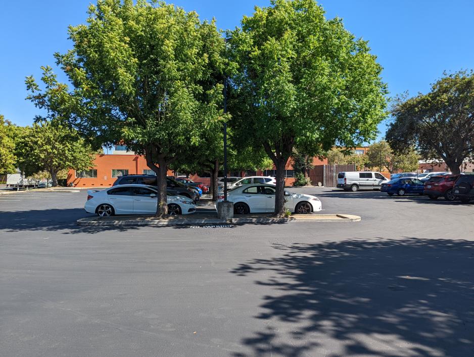 A photo of a parking lot with a parking island with trees. 