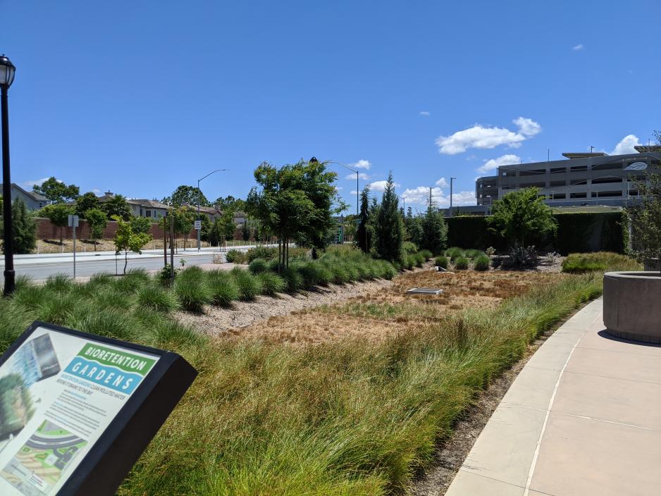 A photo of a bio-retention garden adjacent to a parking structure. 