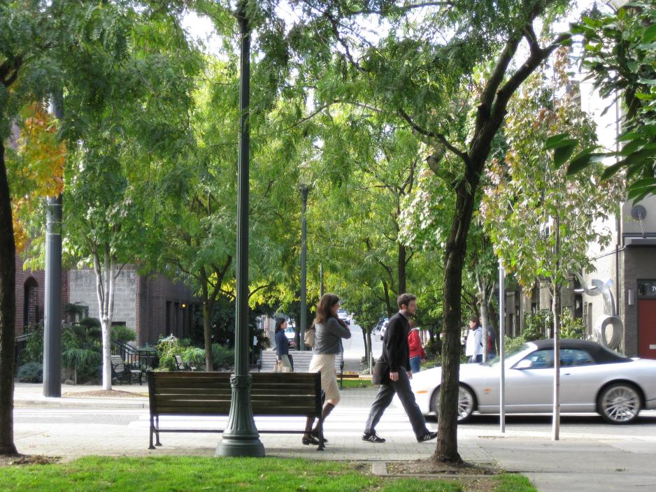 Photo showing pedestrians walking on the sidewalk, with street trees and landscaping providing shade and green space.