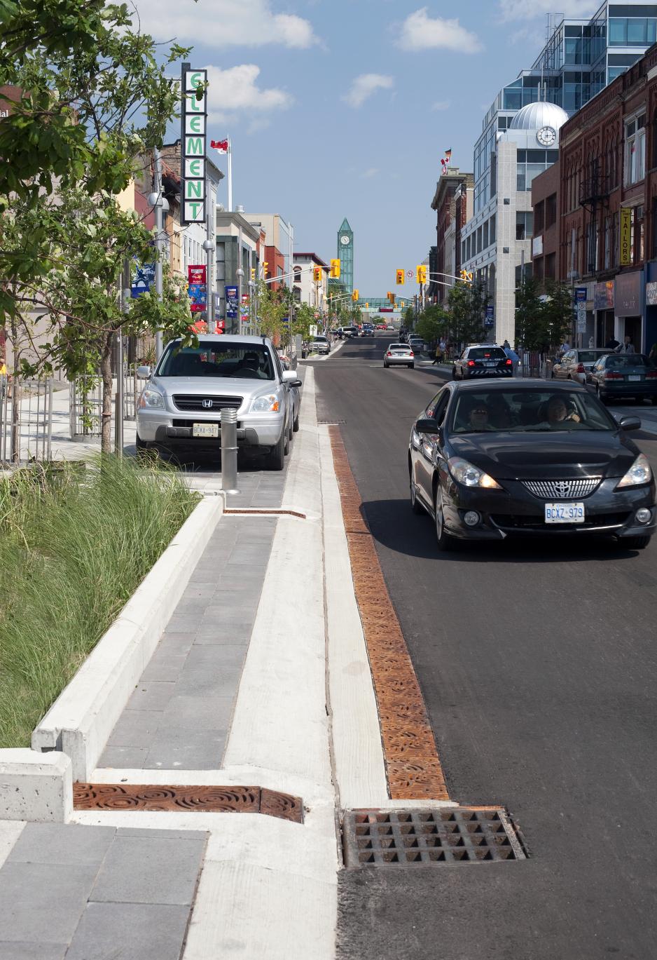 Photo of a bioretention planter in the landscape strip of a street.