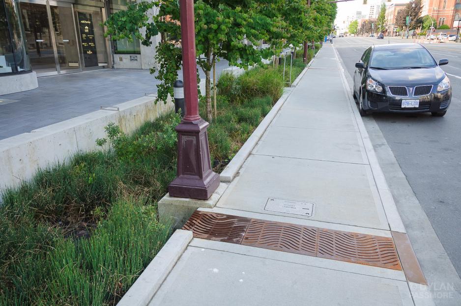 A photo of a sidewalk with plants and a water drain.