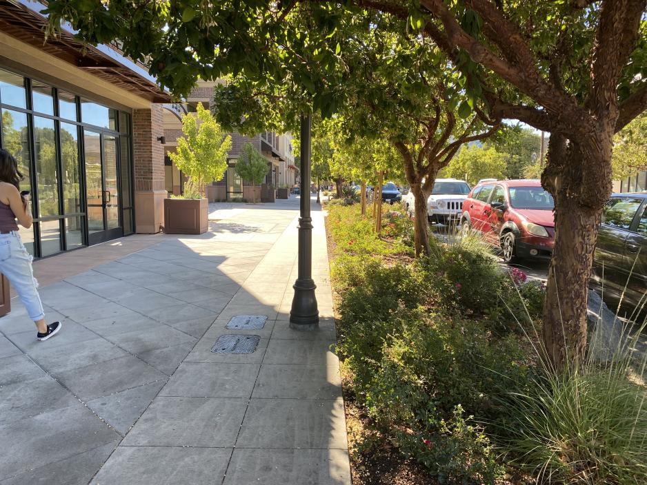 A photo of a sidewalk with plants and trees between the street.