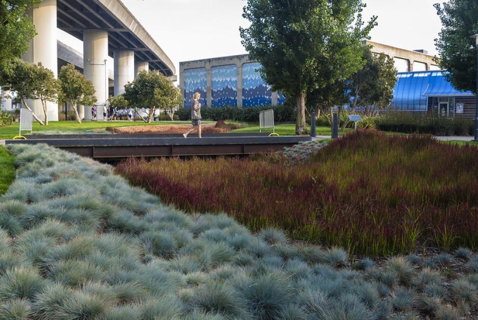 A photo of trail under an elevated freeway.