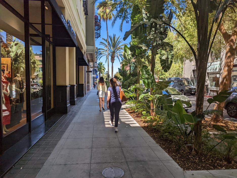 Photo of people walking between shops and tropical plants 