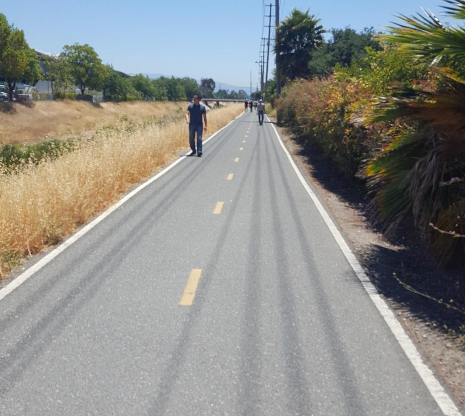 A photo of paved bike and pedestrian trail with vegetation on both sides. 