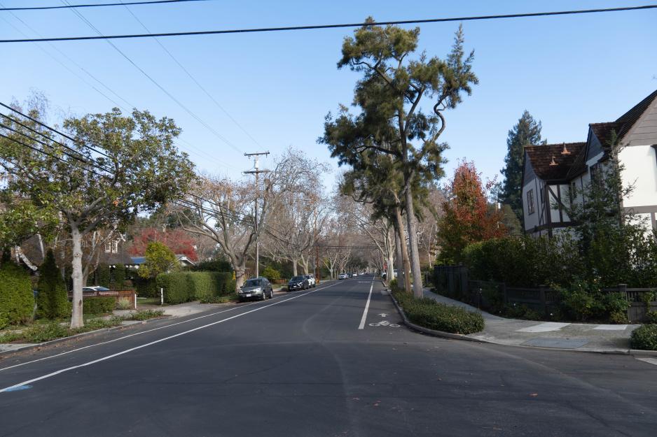 A photo of a street with a wide sidewalk and trees.