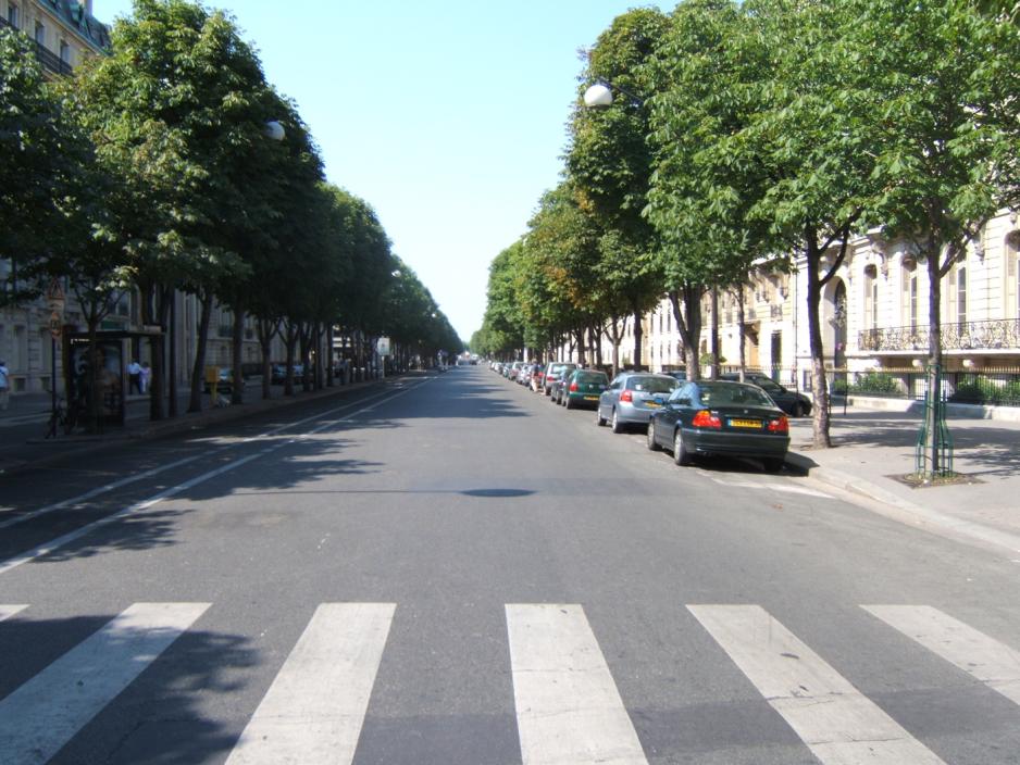 A photo of a street with trees and parallel parking.