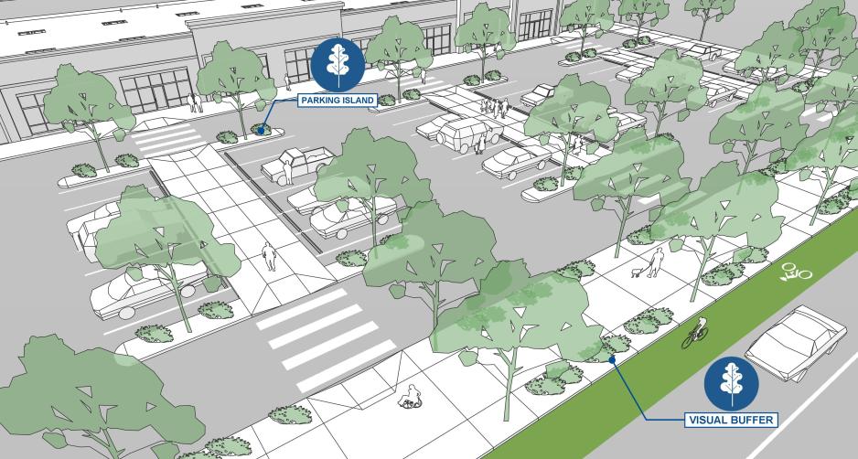 An illustration of a parking lot with callouts for visual buffer (trees/bushes) and a parking island.