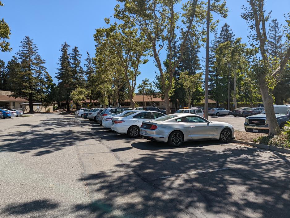 Photo of a parking lot with several parked cars and trees in the background on a sunny day