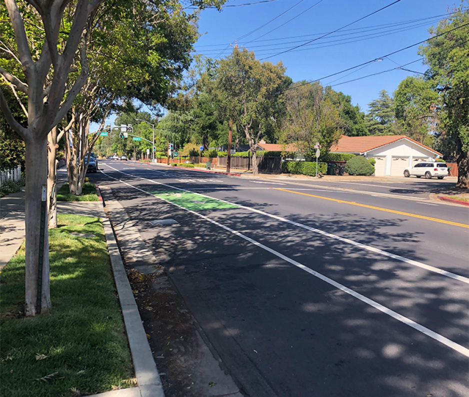 A photo of the street with a separated bike lane and street trees.