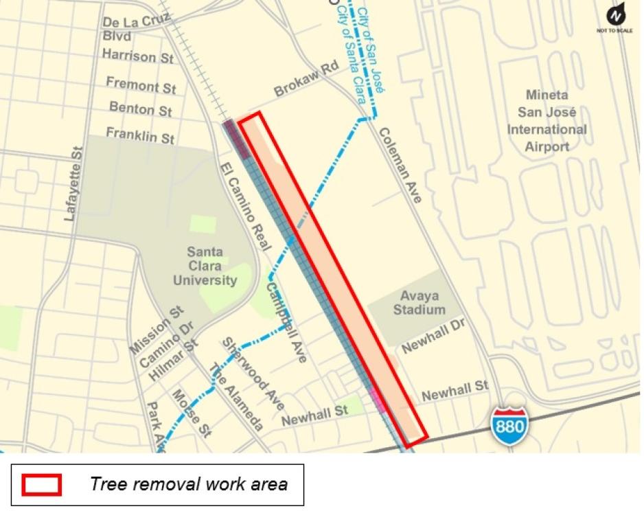 Tree Removal Area
