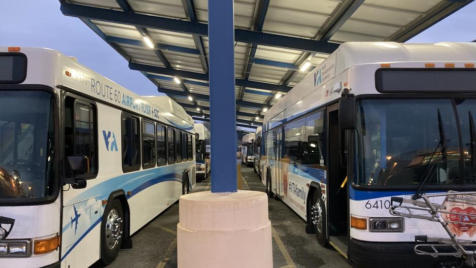 Parked-Buses-In-Lot