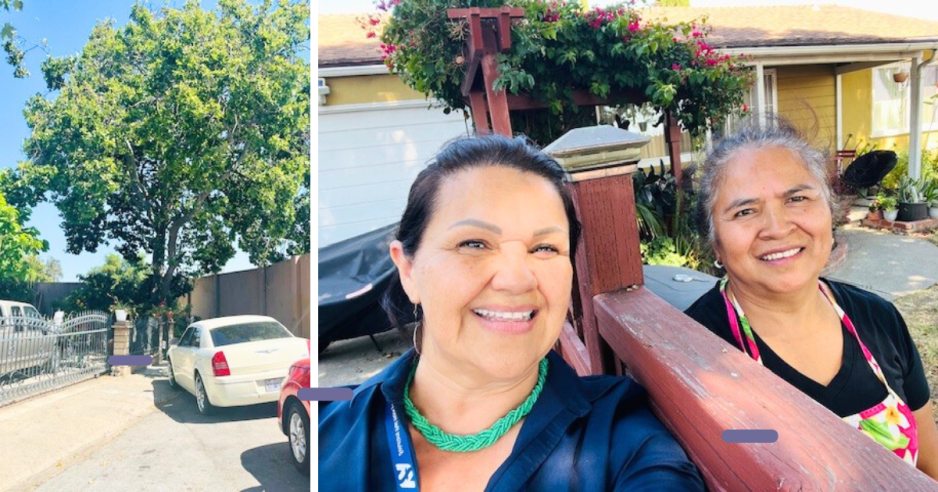 houses, cars, Lupita and homeowner
