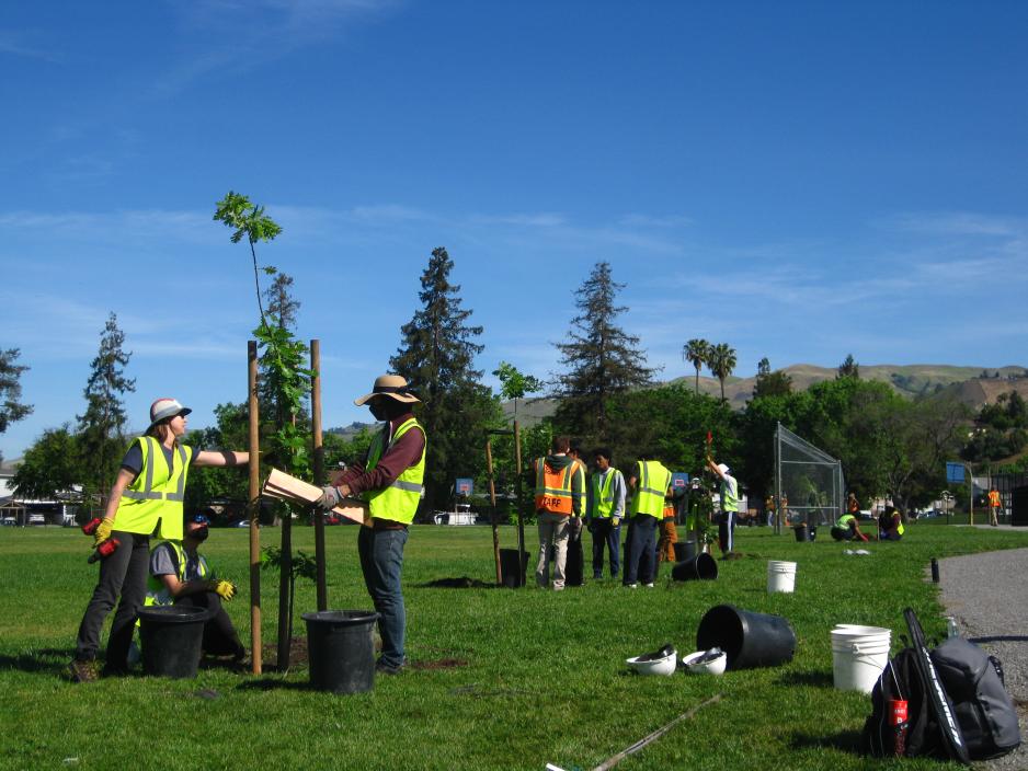 VTA Free Trees Program | VTA
