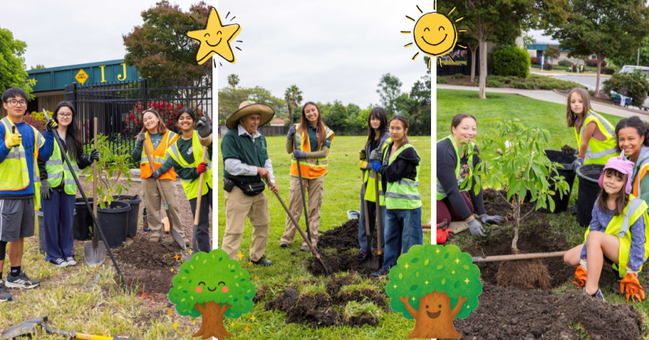 Our City Forest staff planting trees in East San Jose.